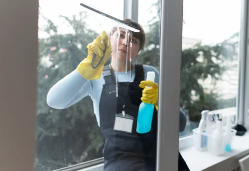 Nettoyage de vitres intérieures et extérieures à Saint-Martin-de-Sanzay